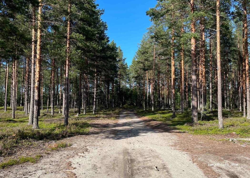 (914 91) Nordmaling - — foto 2