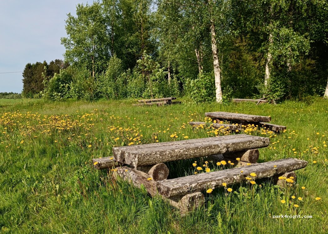 (7717) Steinkjer - 203 Solnesvegen — foto 4