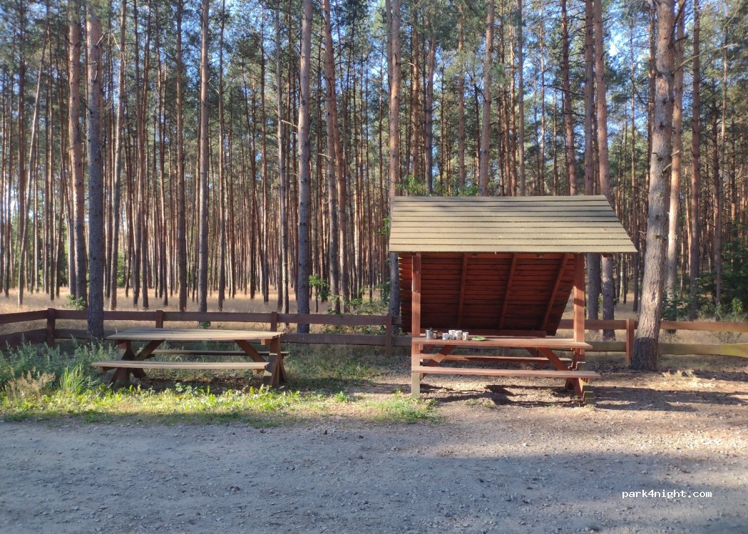 (64-308) Błońsko - Unnamed road — foto 2