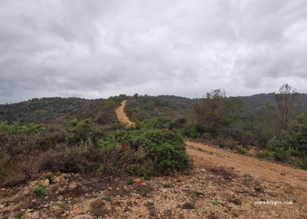 (43884) La Vinya de Bonastre - Unnamed Road — foto 3