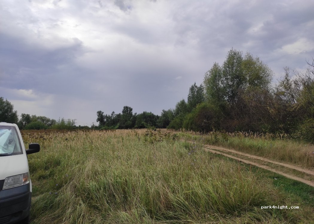 (327230) Grădinari - Unnamed road — foto