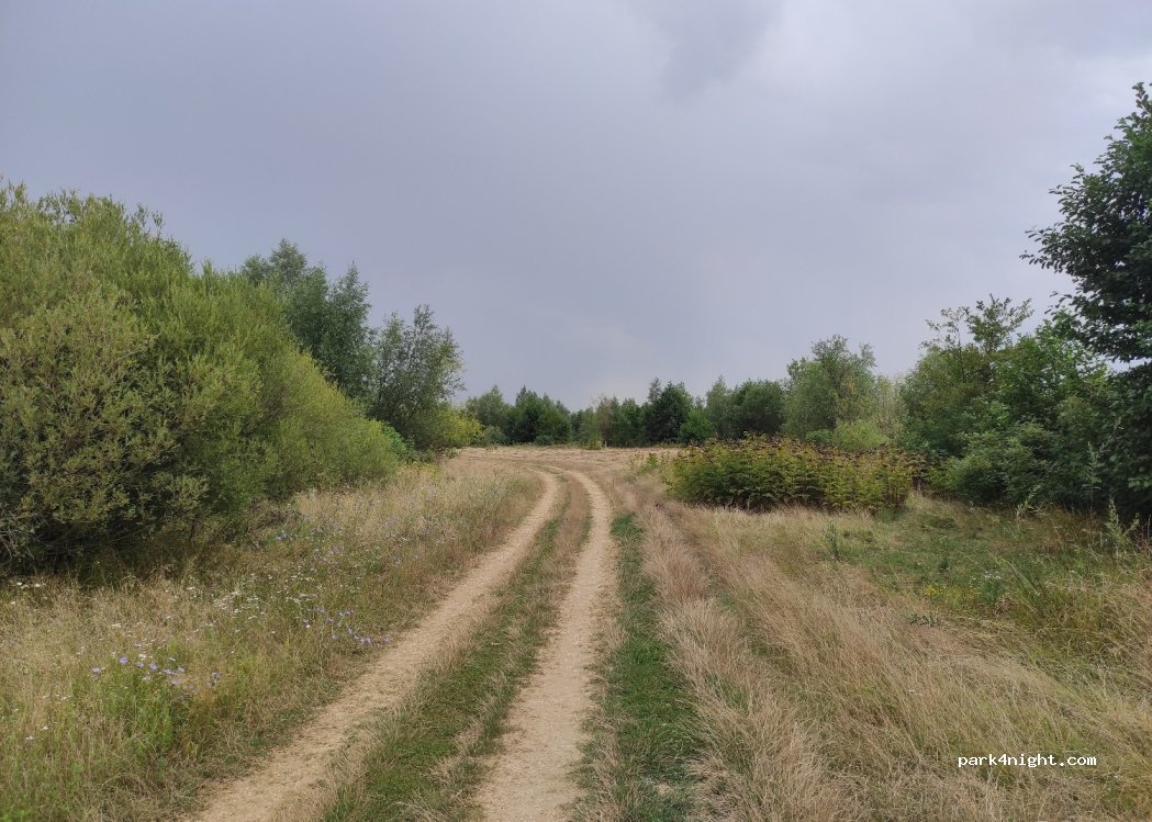 (327230) Grădinari - Unnamed road — foto 2