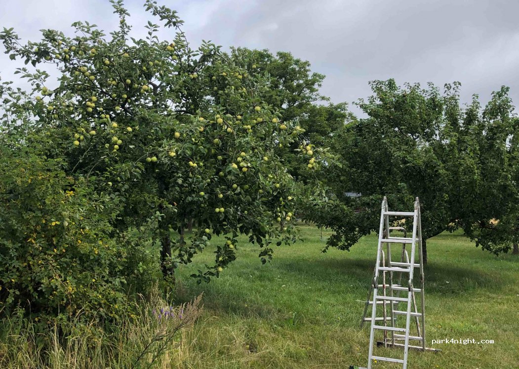 Vätterledens Camping — foto