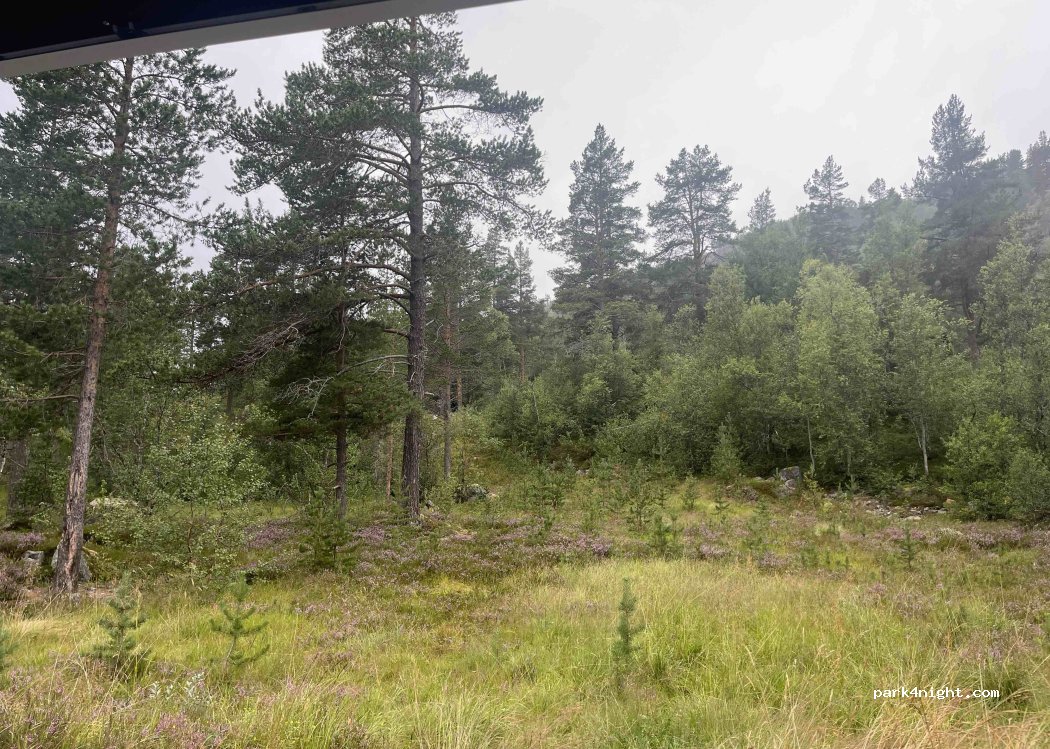 (4754) Hovden - 4 Fjellros Hyttegrend — foto 4