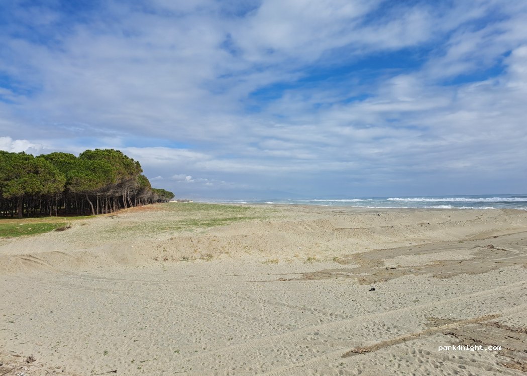 (89032) Bianco - — foto 3