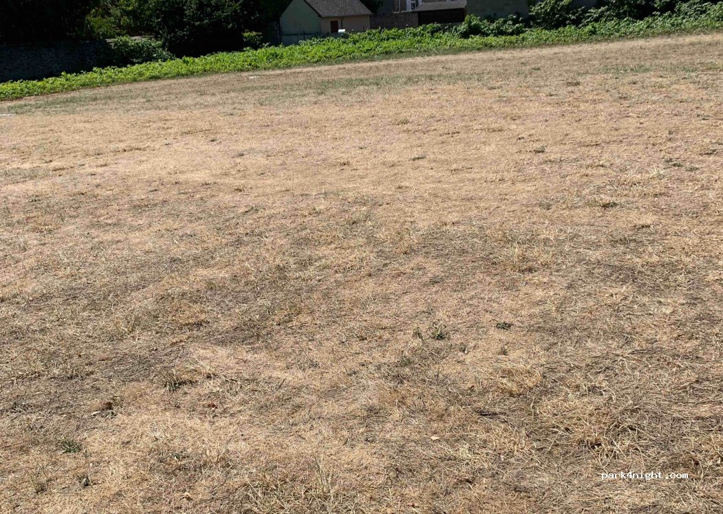 (35800) Saint-Lunaire - 225C Boulevard de la Plage — foto