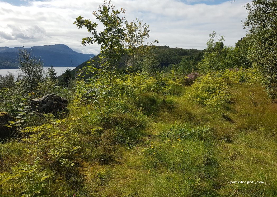 (5583) Vikedal - Unnamed road — foto