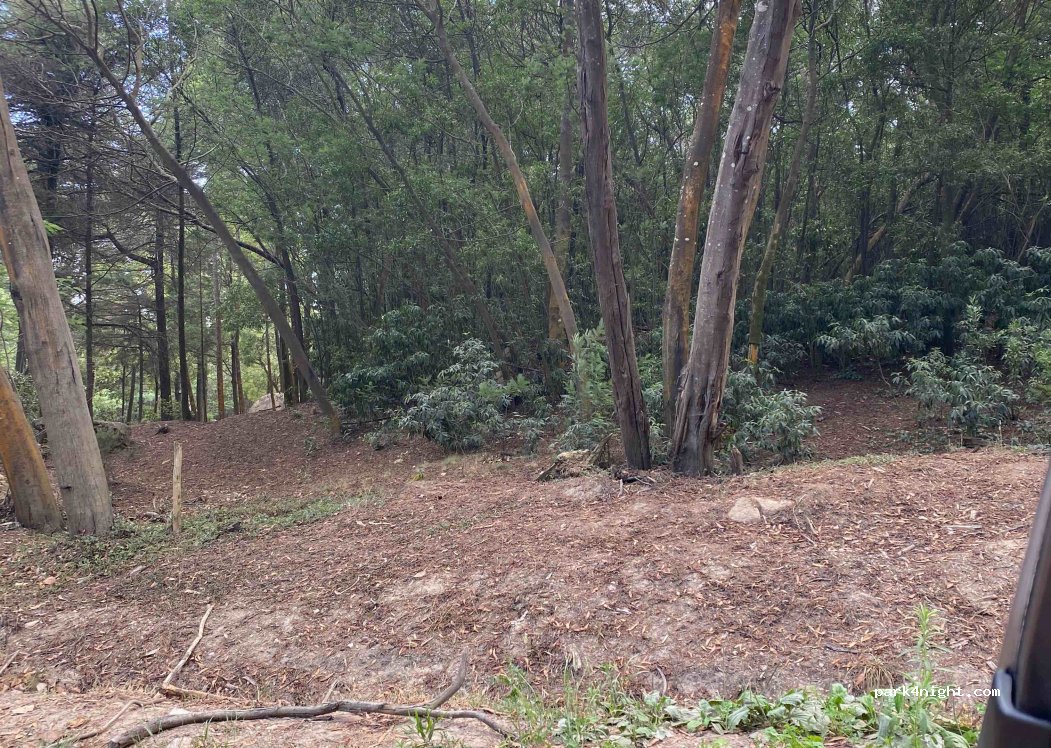 (2705) Colares - Unnamed road — foto