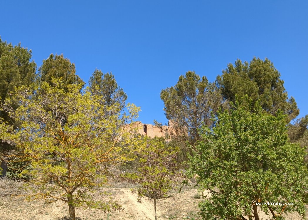 (26340) La Rioja - 38 Diseminado S Asensio — foto 4