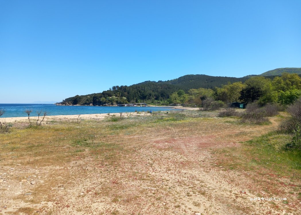 (630 74) Άκανθος - — foto