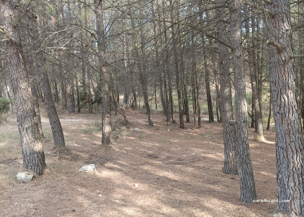 (08788) Vilanova del Camí - — foto 3