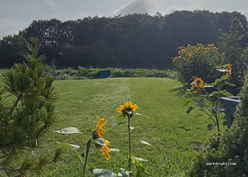 Hof an der Hese — foto
