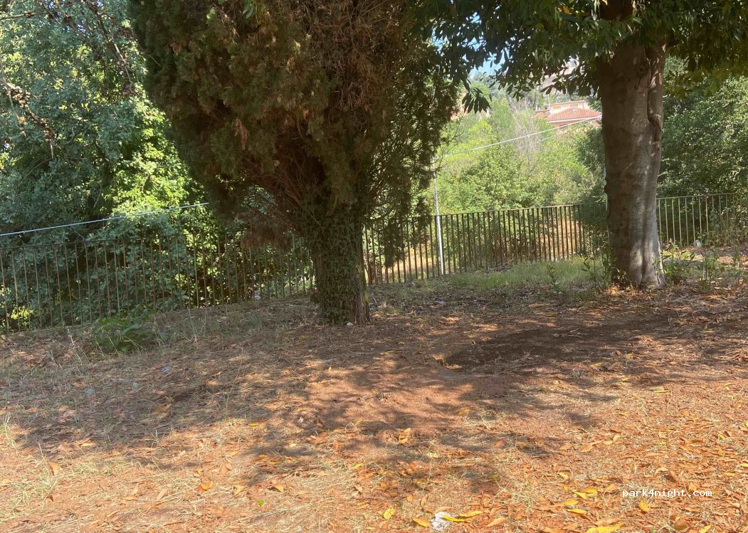 (00020) Ciciliano - Viale Beato Tommaso da Cori — foto