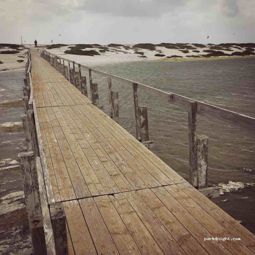 (09072) Cabras - SP66 — foto 2