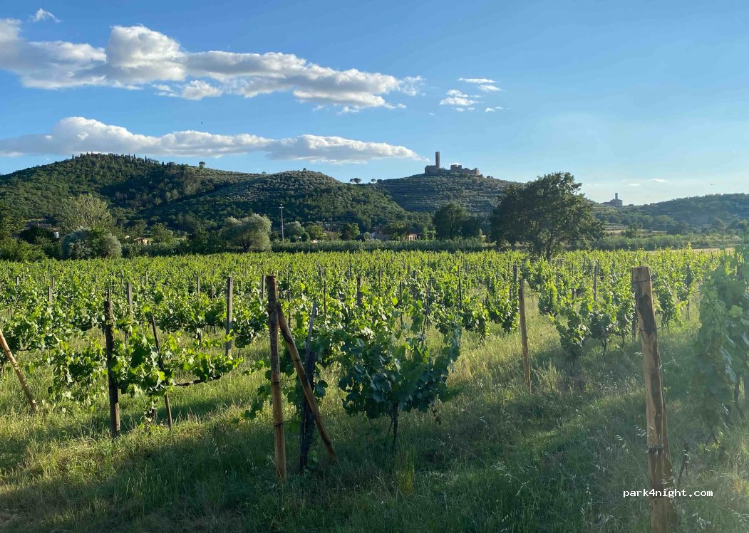 Agriturismo La Pievuccia — foto