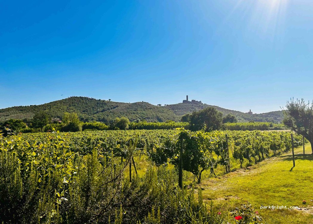 Agriturismo La Pievuccia — foto 4