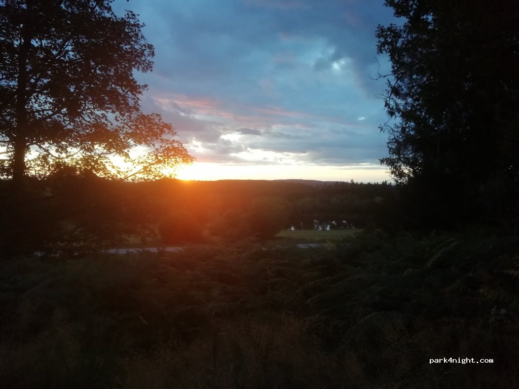 (88120) Sapois - 2 Route de Cellet — foto 4