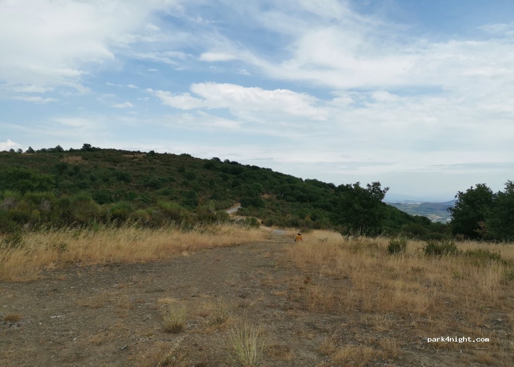 (06065) Passignano sul Trasimeno - — foto