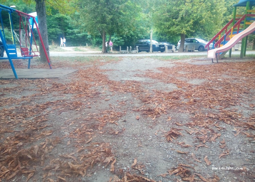 (610102) Piatra Neamț - Aleea Parc Cozia — foto