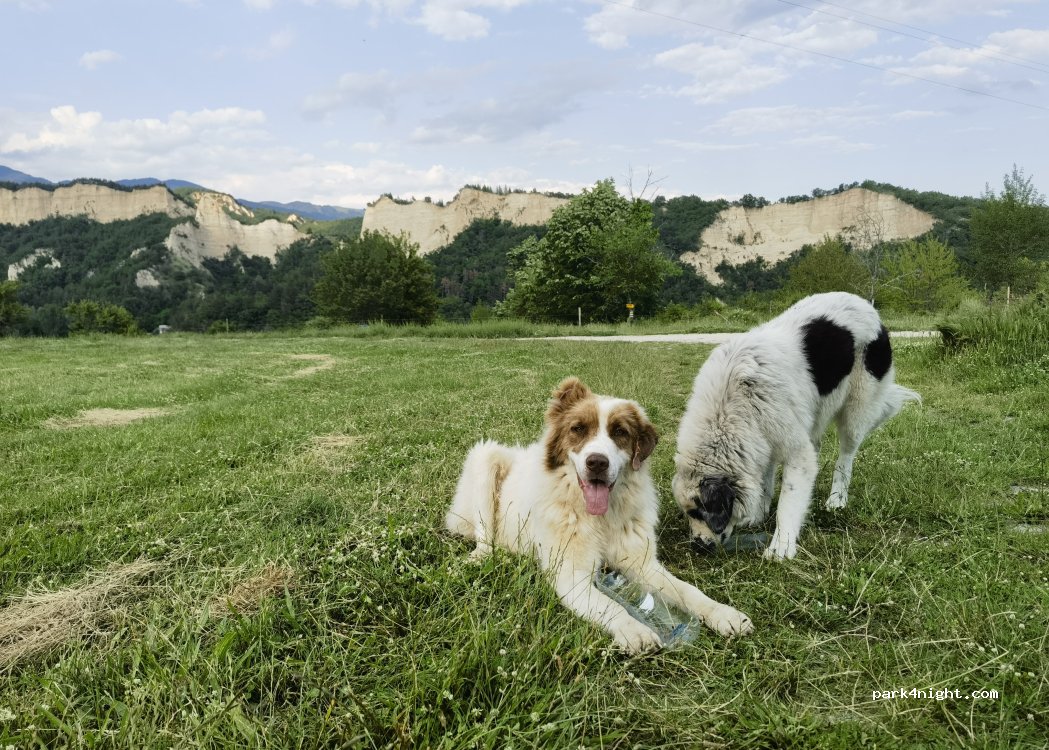 (2820) Rozhen - Unnamed Road — foto 5