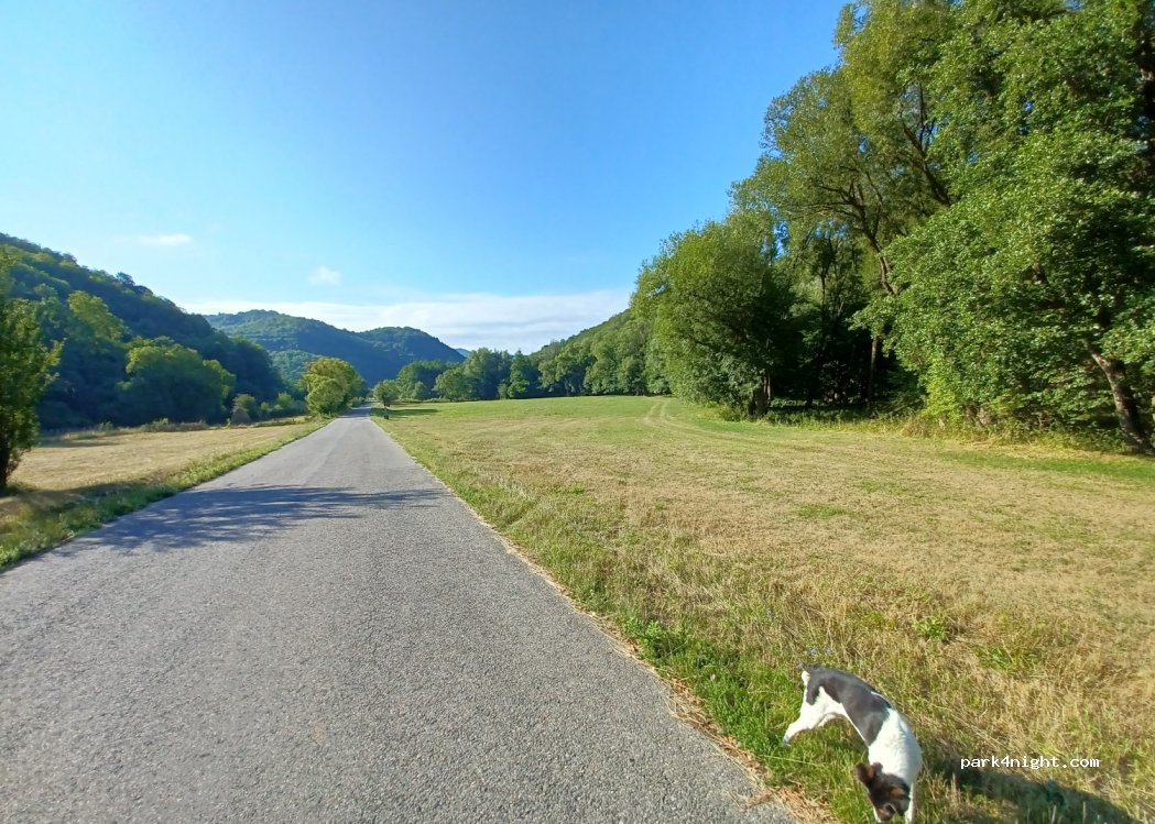 (337023) Poiana - — foto 2