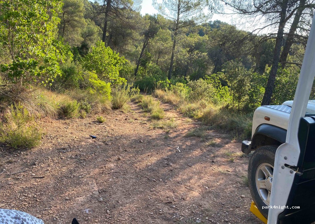 (08278) Talamanca - — foto