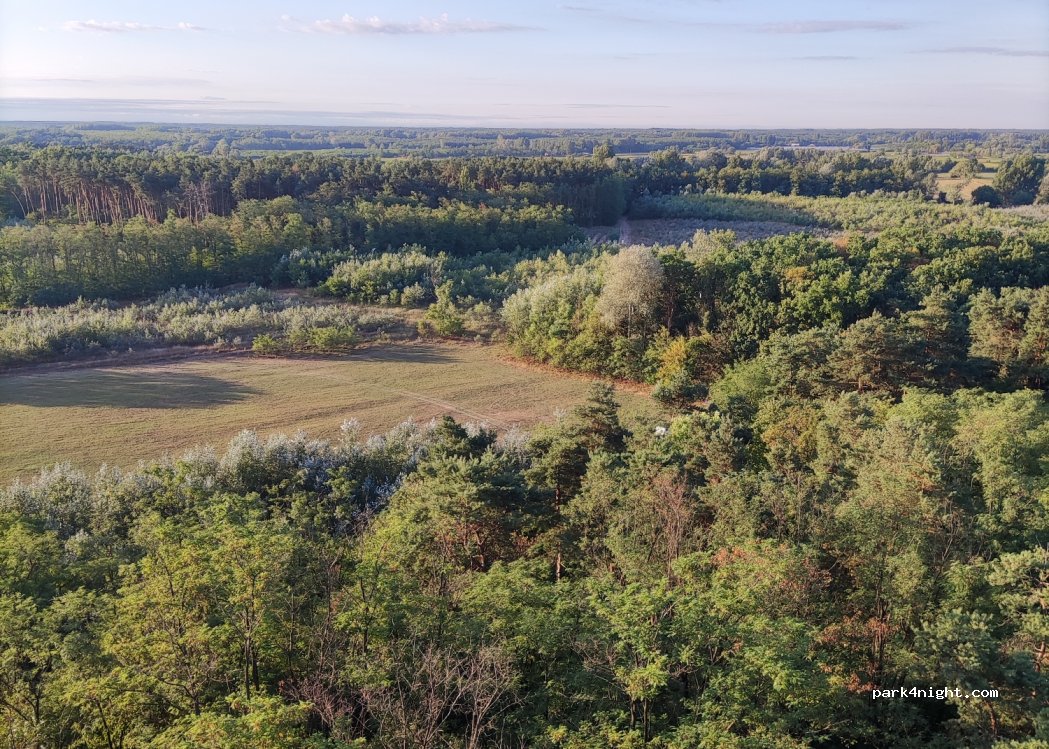 (4002) Debrecen - — foto 2