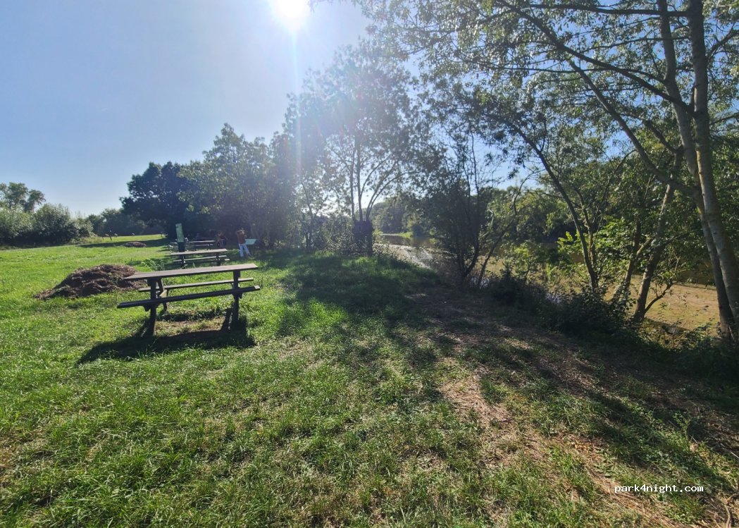 (49170) Béhuard - 6 Chemin du Port du Bois — foto 2