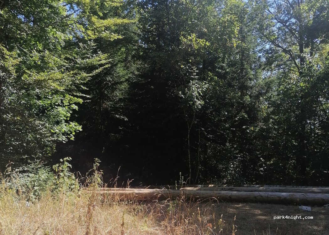 (39130) Le Frasnois - — foto