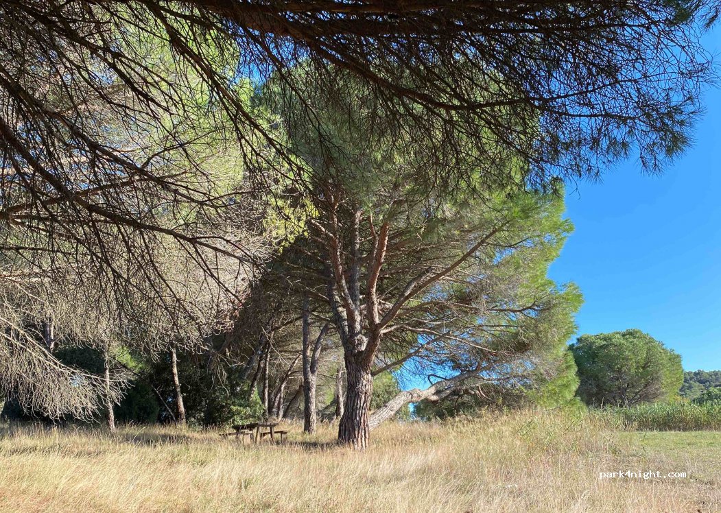 (11110) Salles-d'Aude - — foto 4
