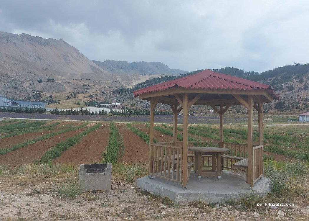 (32000) Çobanisa - Unnamed Road — foto