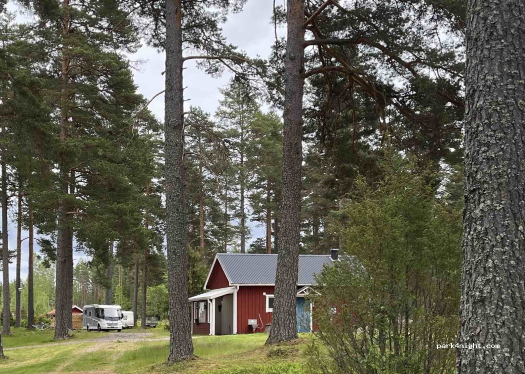 Hedås — foto 5