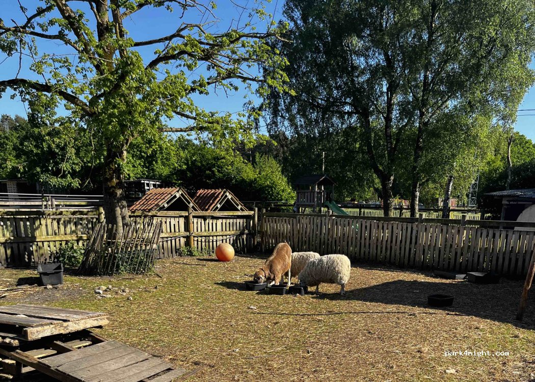 Camping Venhof — foto 5