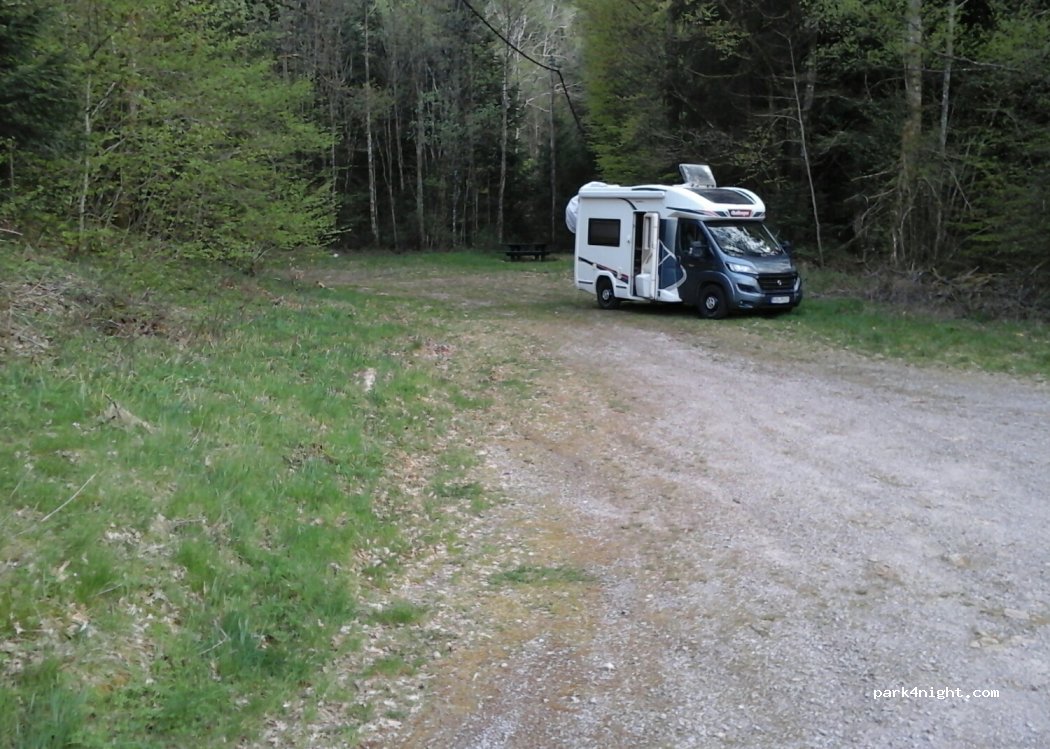 (88530) Le Tholy - 20 Route du Pré du Four — foto 3