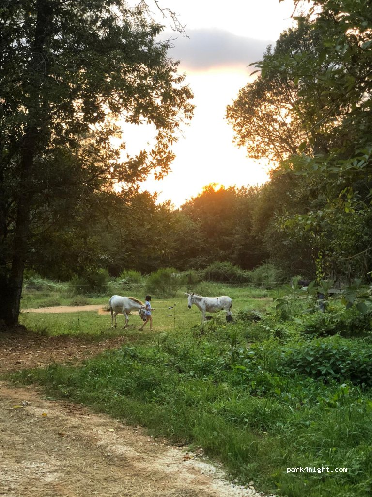 Camping Le Pech Charmant **** — foto 4