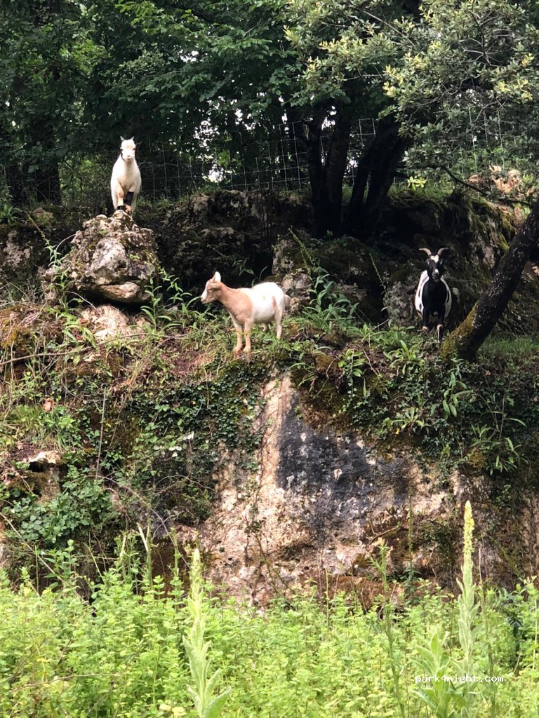 Camping Le Pech Charmant **** — foto 5