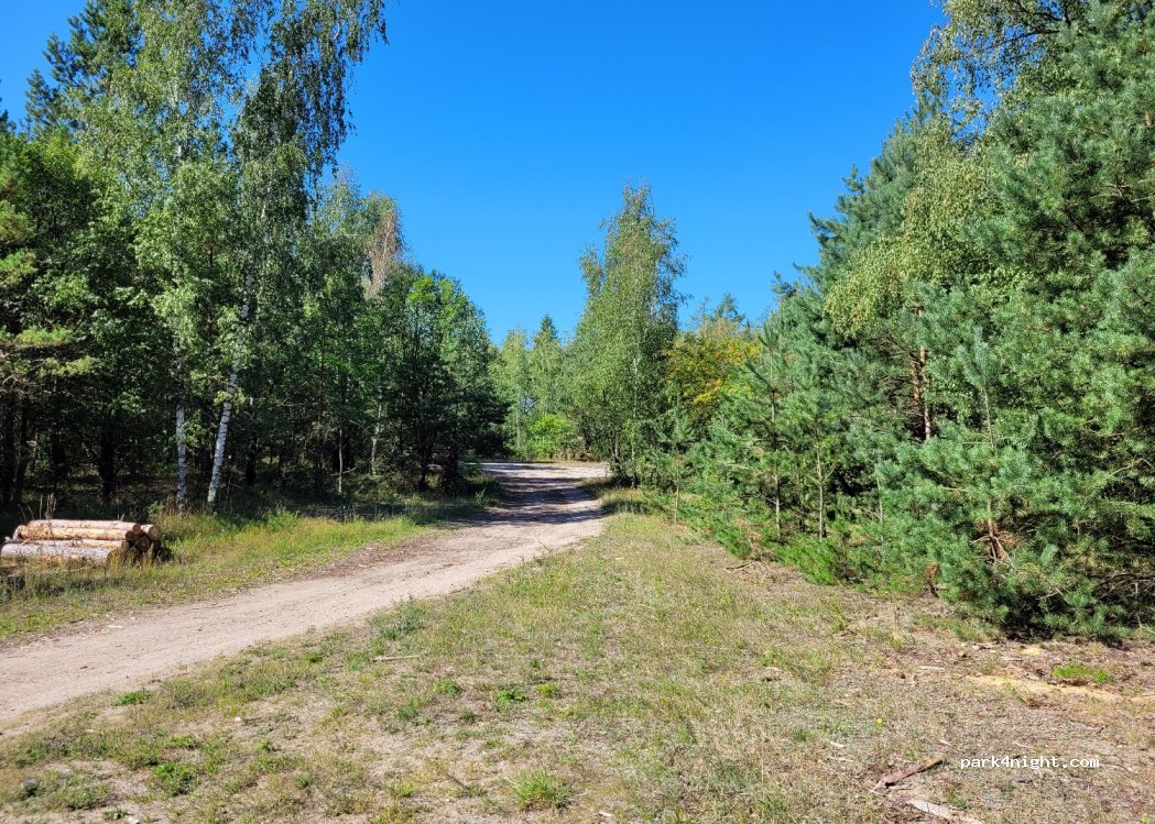 (06-500) Mława - Unnamed Road — foto