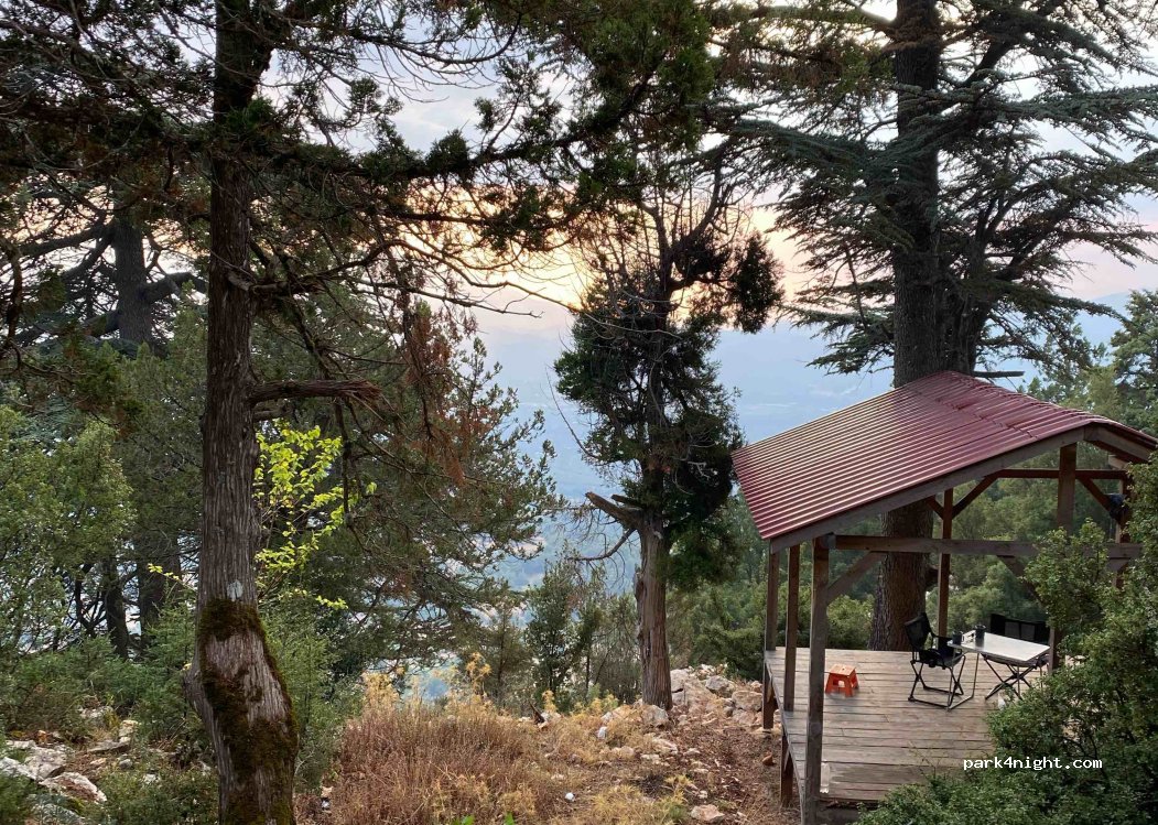 (48850) Muğla - — foto