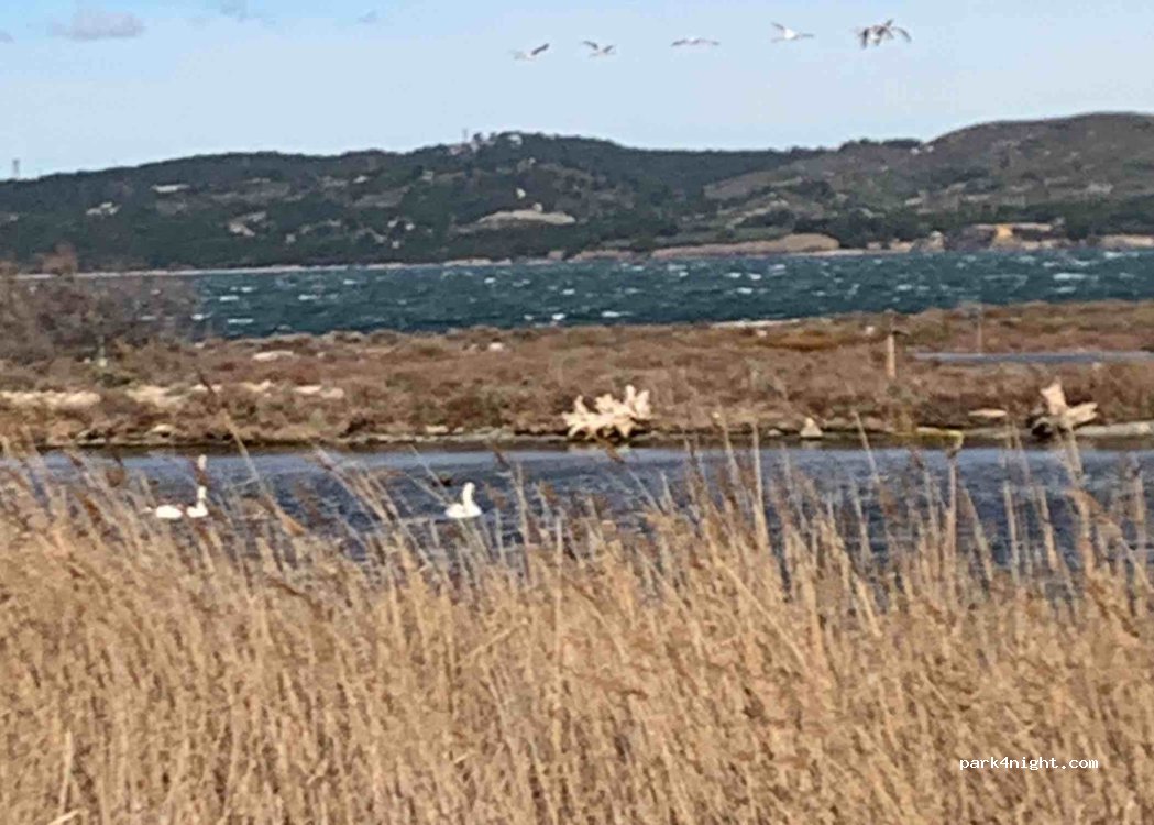 (13130) Berre-l'Étang - Plag de Champigny — foto 2