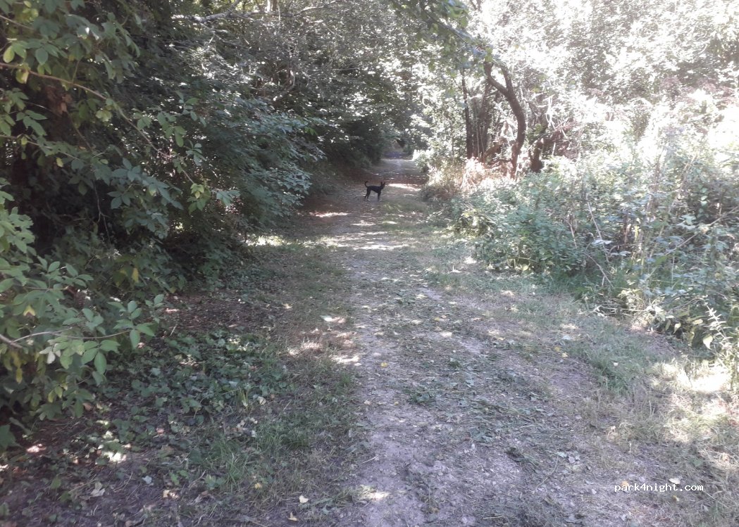 (29260) Le Folgoët - — foto