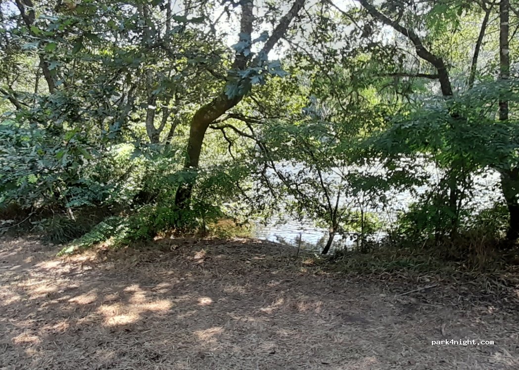 (36688) A Ribeira - — foto