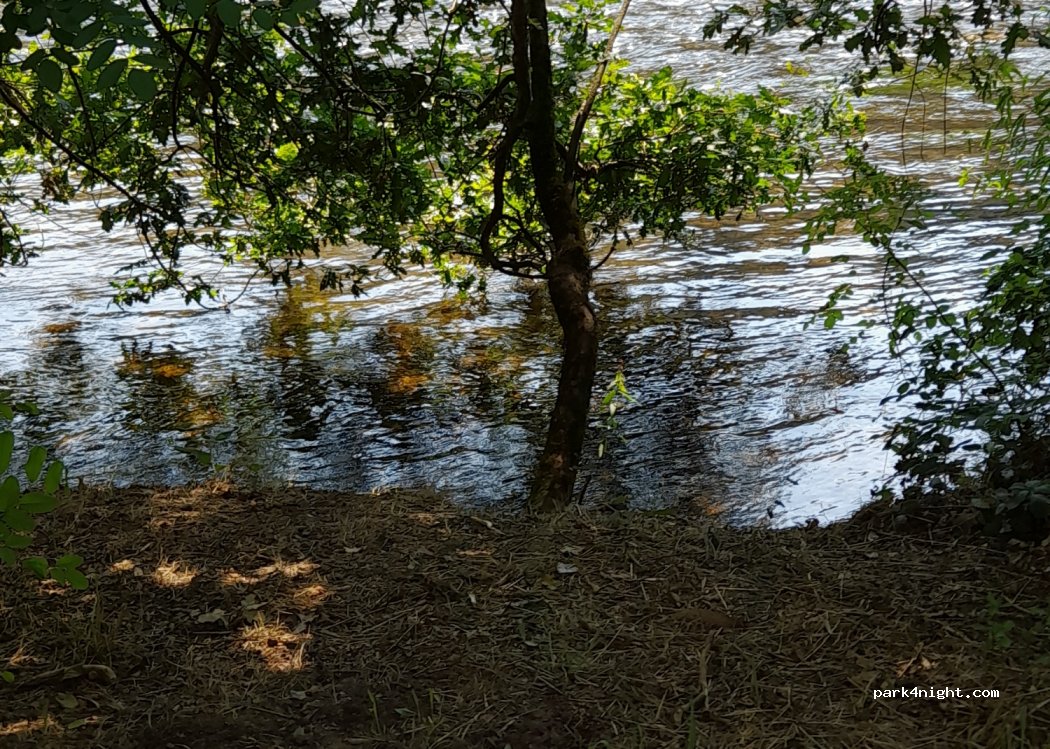 (36688) A Ribeira - — foto 2