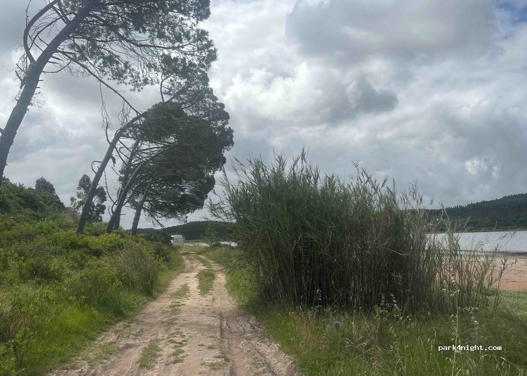 (2500-568) Nadadouro - — foto 2