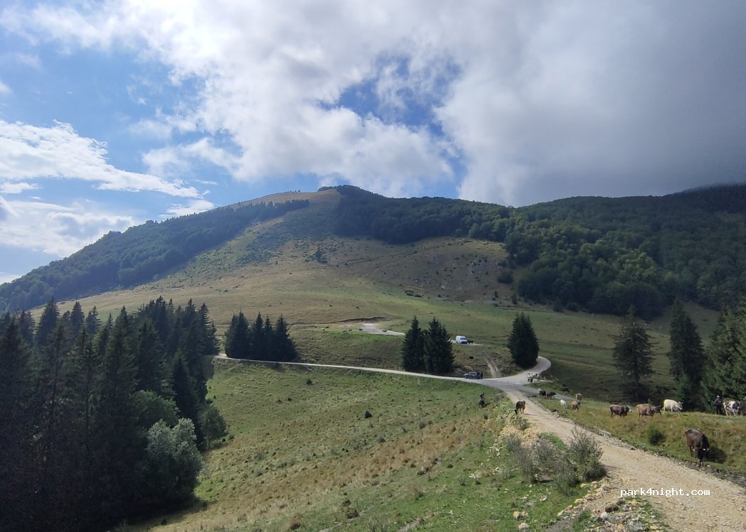 (117375) Dragoslavele - — foto 2