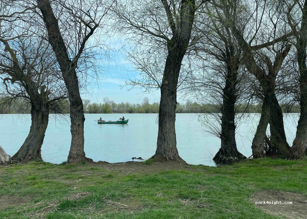 (827106) Dunavățu de Sus - — foto