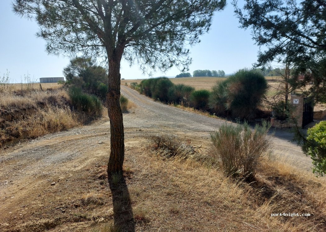 (34440) Frómista - Unnamed Road — foto 4