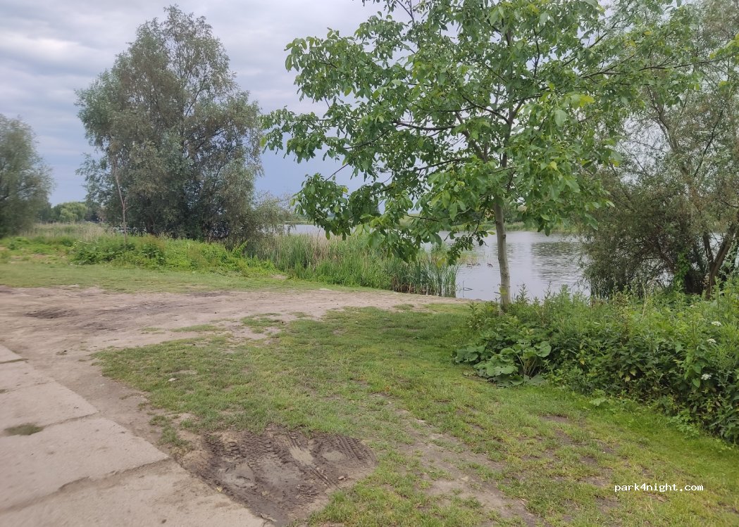 (86) Łasin - — foto 2