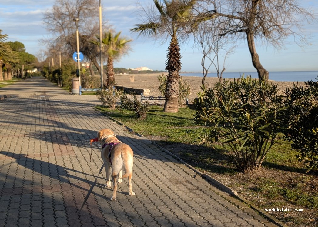 (66700) Argelès-sur-Mer - 71 Allée du Racou — foto 3