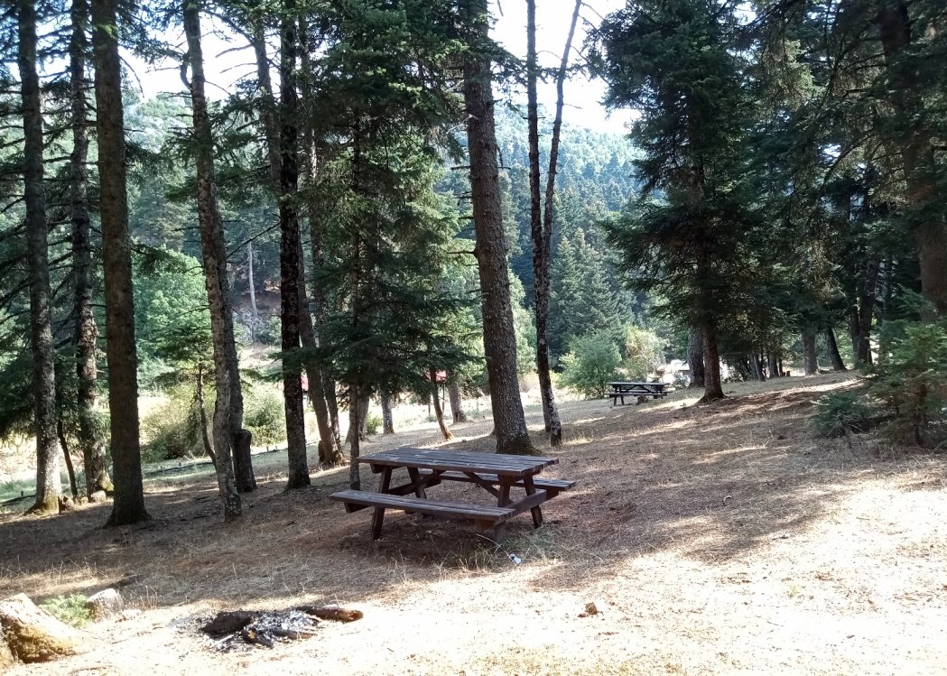 (350 09) KALLIDROMO-NEVROPOLI - Unnamed Road — foto