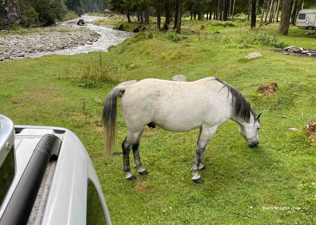 (117430) Sătic - Unnamed Road — foto